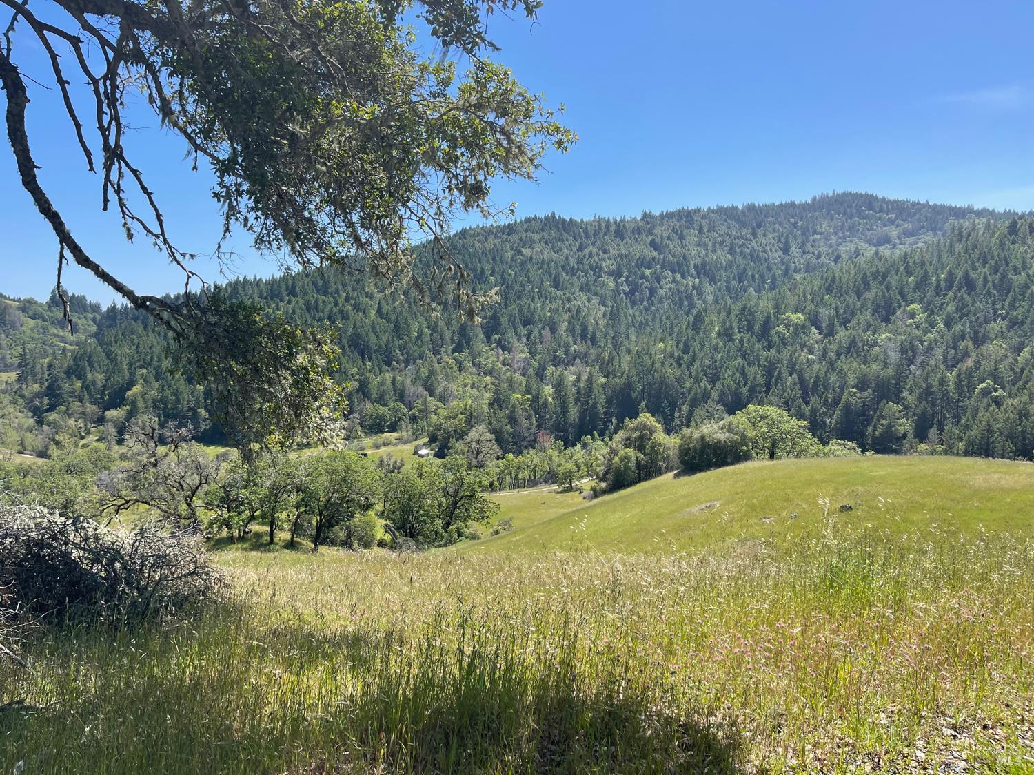 Detail Gallery Image 29 of 60 For 18574 Tomki Rd, Redwood Valley,  CA 95470 - 2 Beds | 2 Baths