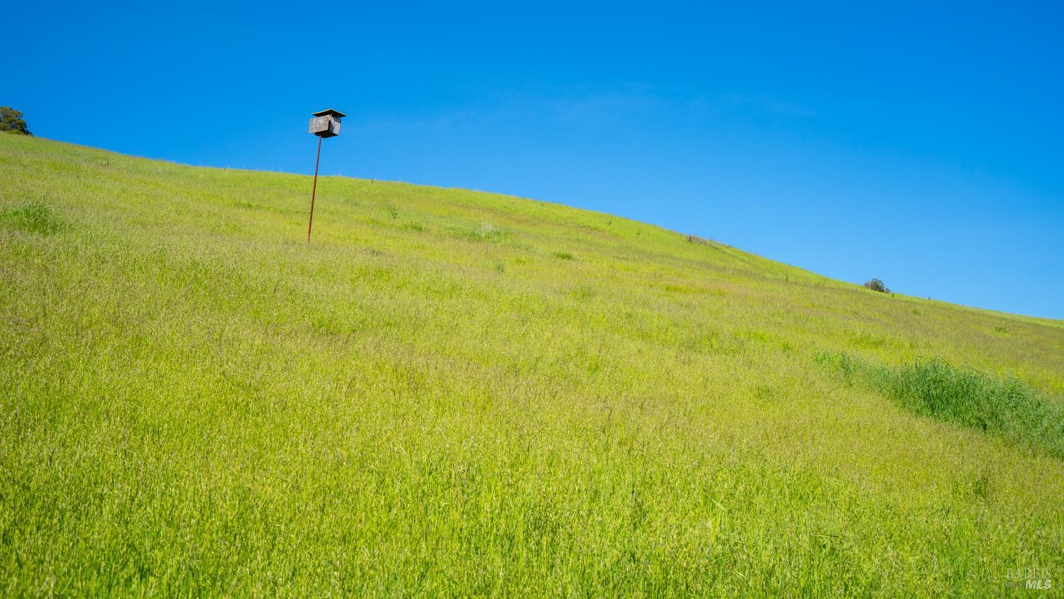Detail Gallery Image 45 of 56 For 181 Dublin Ct, Petaluma,  CA 94952 - 4 Beds | 2/1 Baths