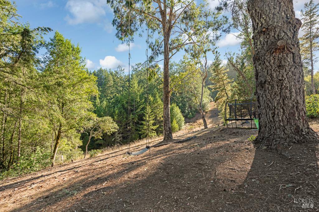 Detail Gallery Image 57 of 74 For 17197 Fitzpatrick Ln, Occidental,  CA 95465 - 3 Beds | 1 Baths