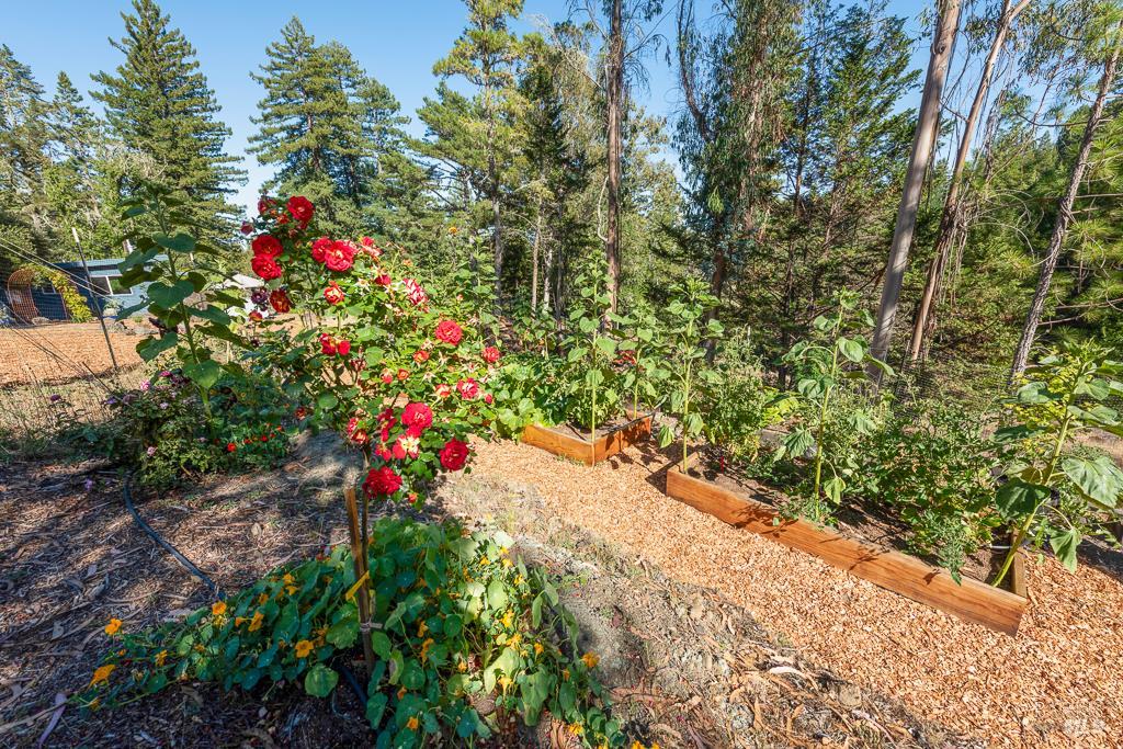 Detail Gallery Image 41 of 74 For 17197 Fitzpatrick Ln, Occidental,  CA 95465 - 3 Beds | 1 Baths