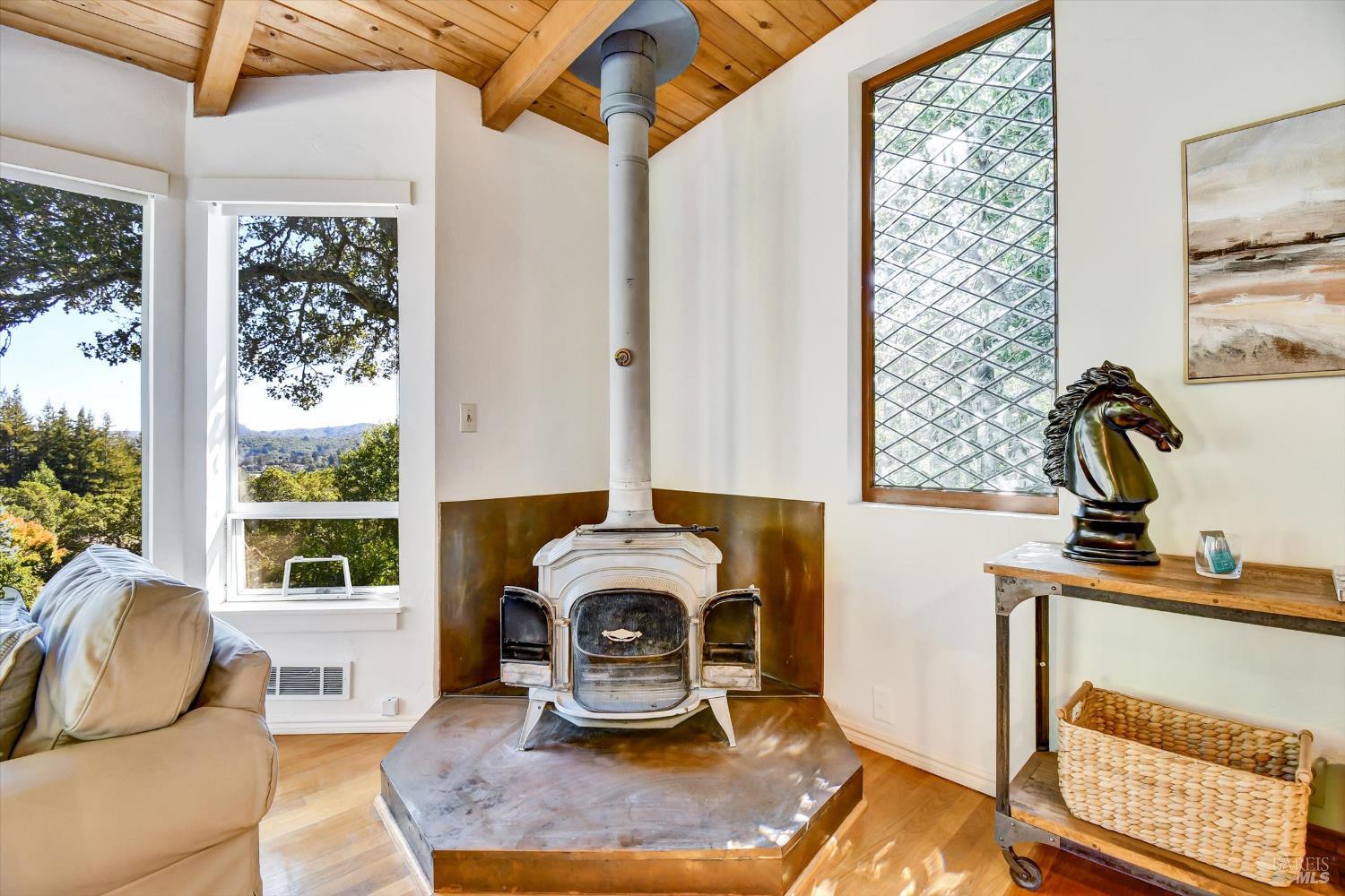 Detail Gallery Image 76 of 91 For 78 Greenwood Way, Mill Valley,  CA 94941 - 3 Beds | 2 Baths