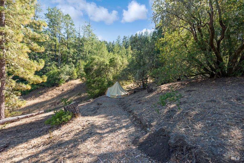Detail Gallery Image 37 of 74 For 17197 Fitzpatrick Ln, Occidental,  CA 95465 - 3 Beds | 1 Baths