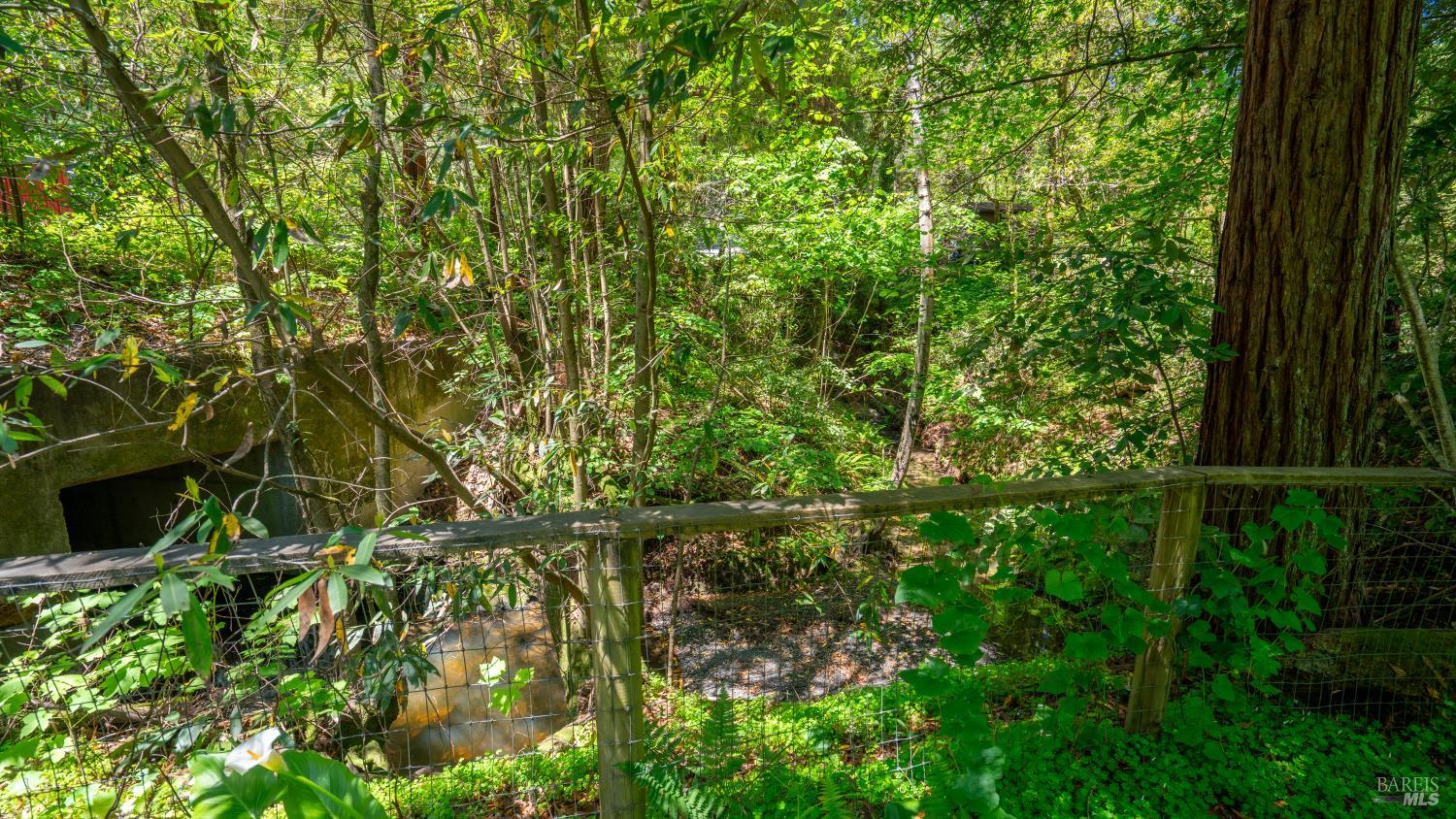 Detail Gallery Image 63 of 71 For 189 Wagnon Rd, Sebastopol,  CA 95472 - 2 Beds | 1 Baths