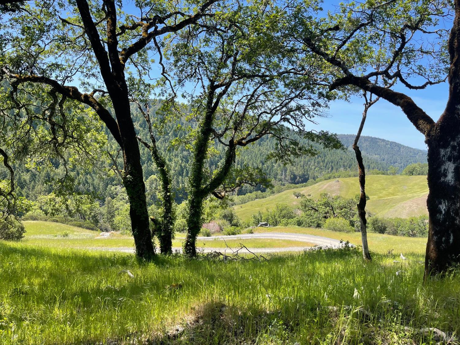 Detail Gallery Image 5 of 60 For 18574 Tomki Rd, Redwood Valley,  CA 95470 - 2 Beds | 2 Baths