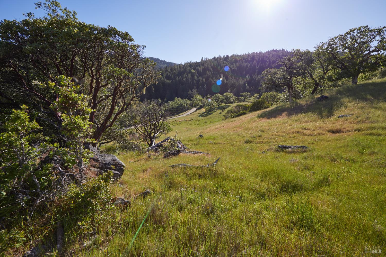 Detail Gallery Image 26 of 60 For 18574 Tomki Rd, Redwood Valley,  CA 95470 - 2 Beds | 2 Baths