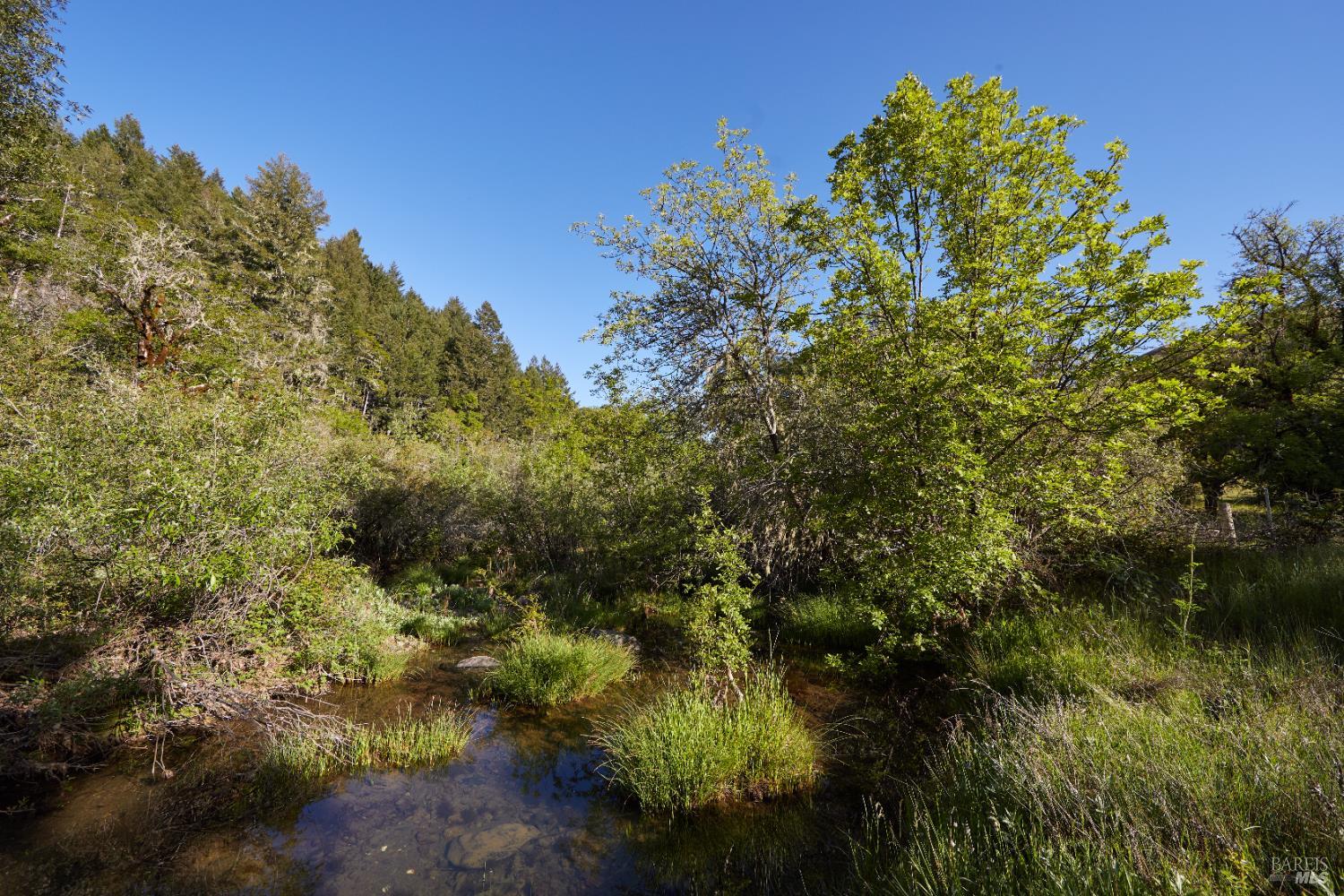 Detail Gallery Image 14 of 60 For 18574 Tomki Rd, Redwood Valley,  CA 95470 - 2 Beds | 2 Baths