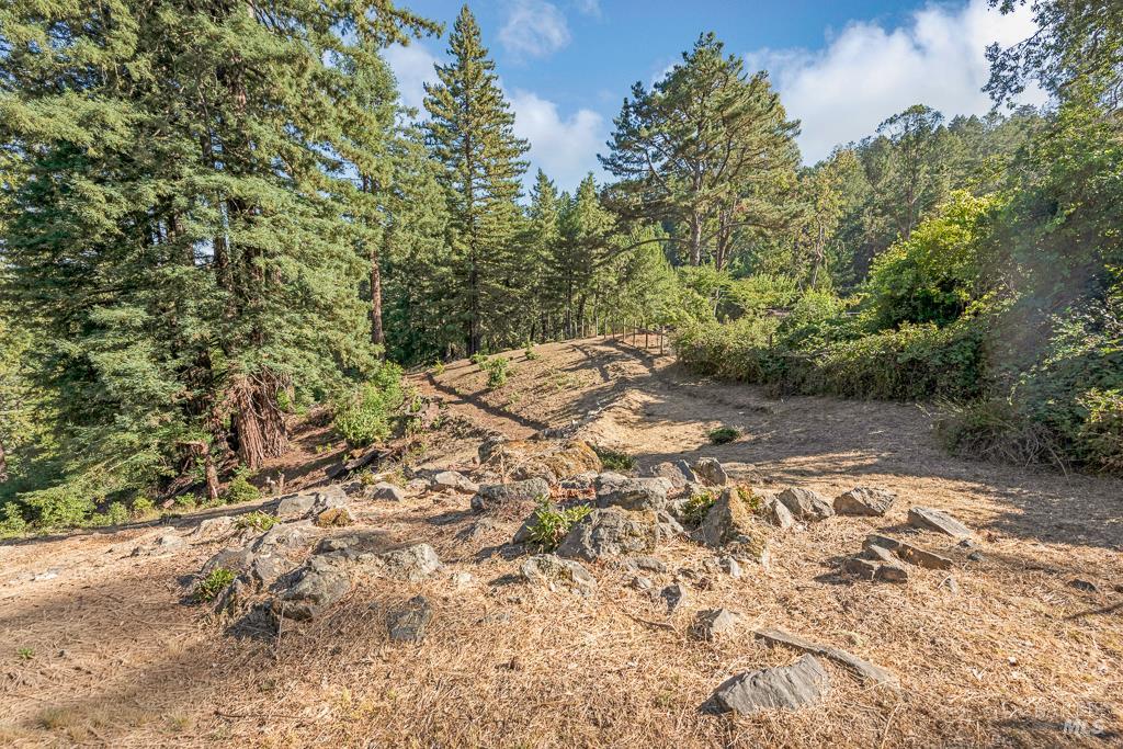 Detail Gallery Image 53 of 74 For 17197 Fitzpatrick Ln, Occidental,  CA 95465 - 3 Beds | 1 Baths