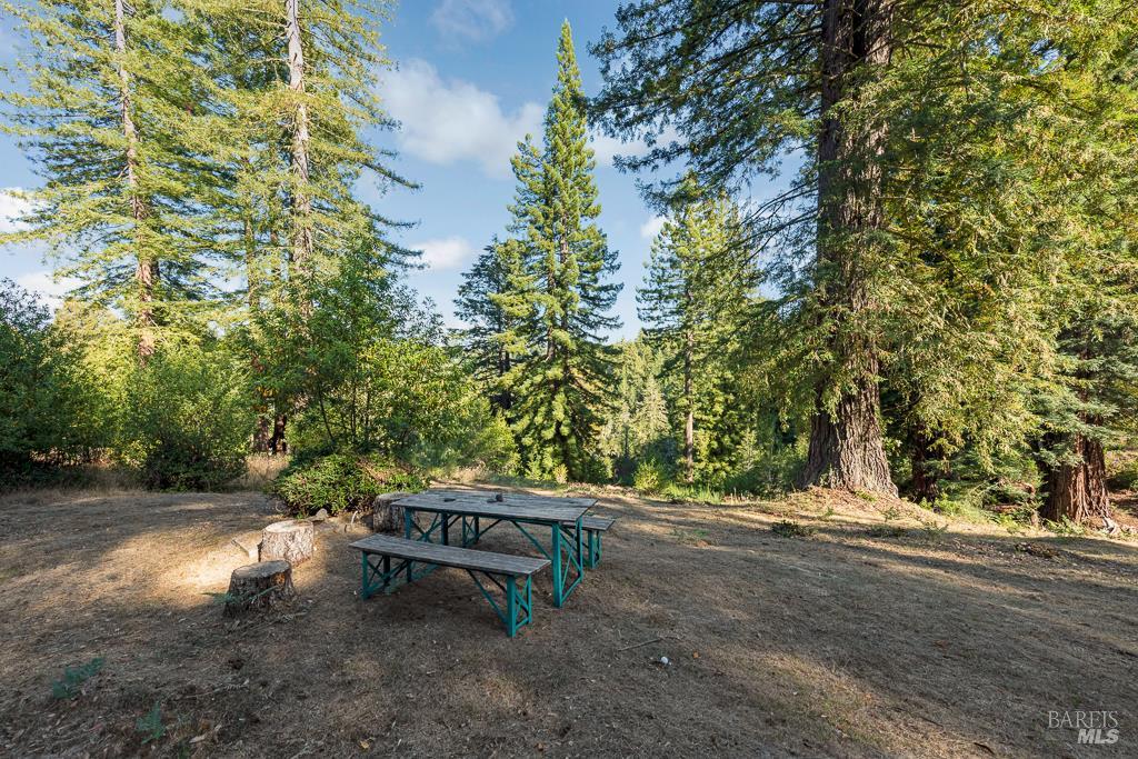 Detail Gallery Image 55 of 74 For 17197 Fitzpatrick Ln, Occidental,  CA 95465 - 3 Beds | 1 Baths