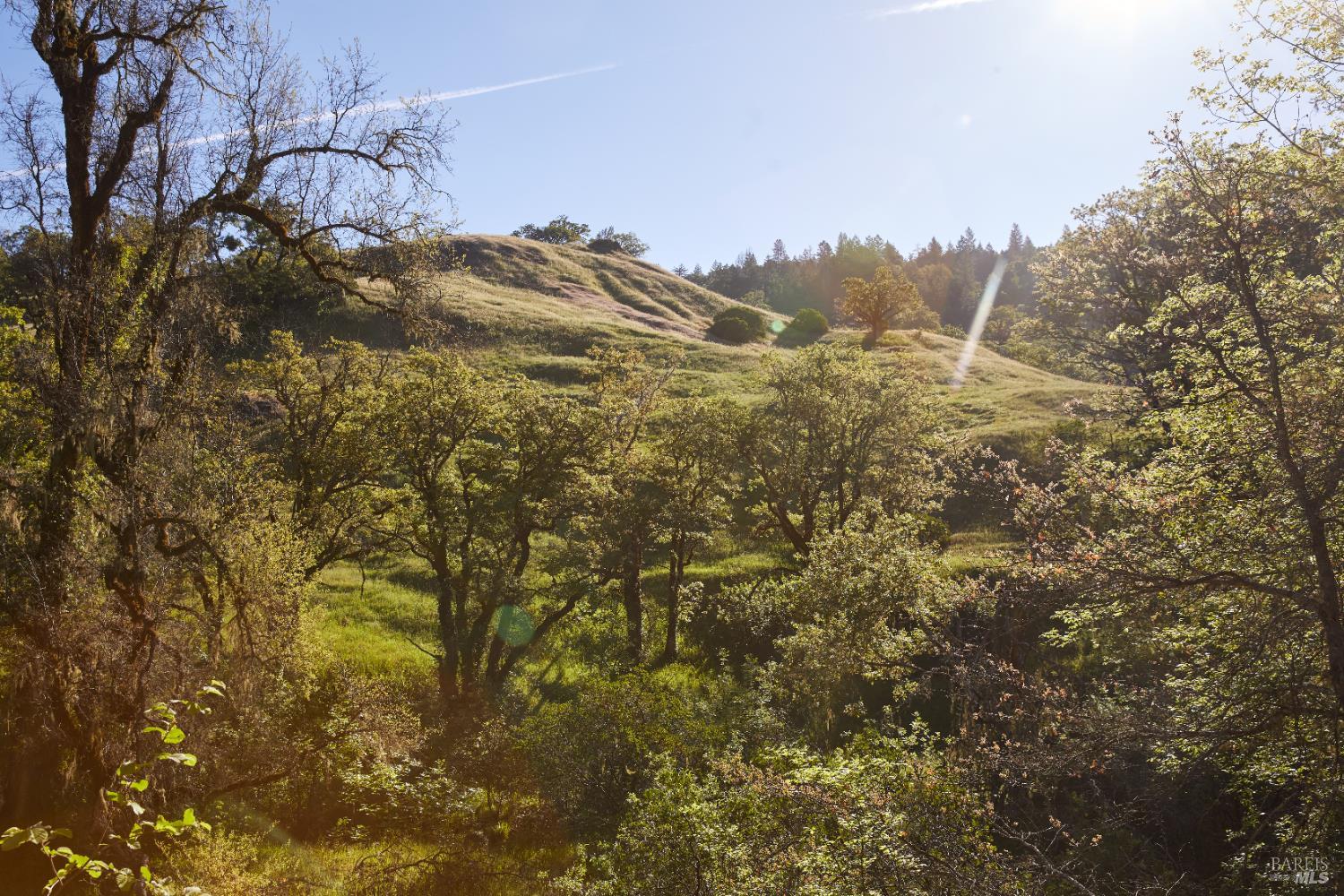 Detail Gallery Image 6 of 60 For 18574 Tomki Rd, Redwood Valley,  CA 95470 - 2 Beds | 2 Baths