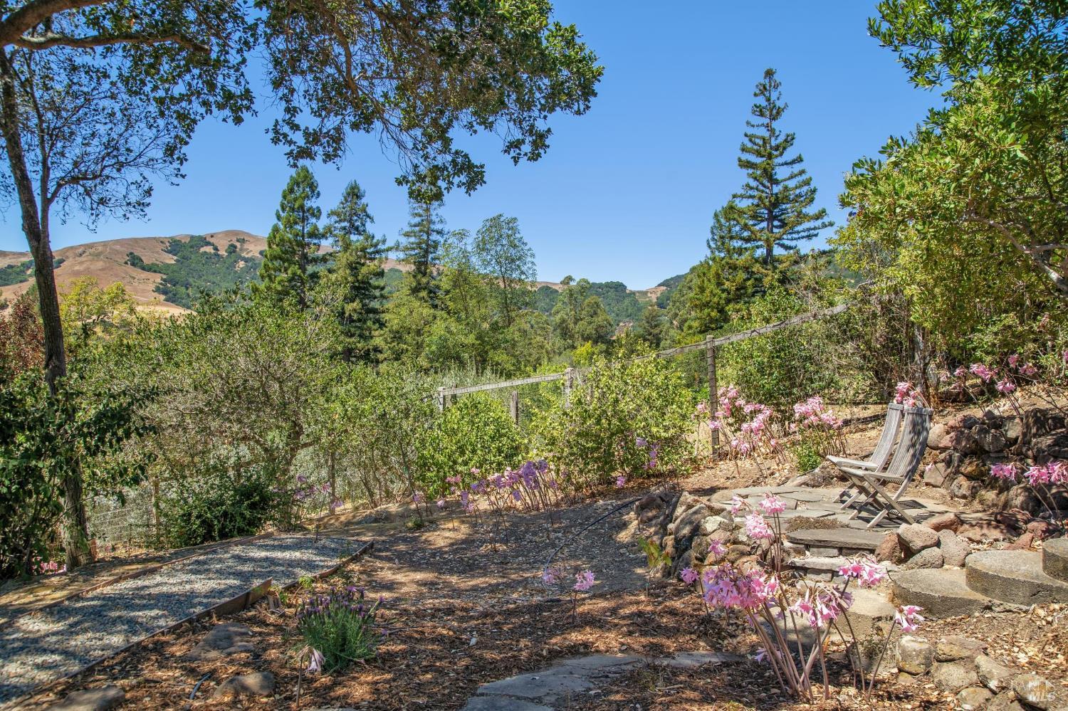 Detail Gallery Image 66 of 76 For 31 Irving Dr, San Anselmo,  CA 94960 - 4 Beds | 2 Baths