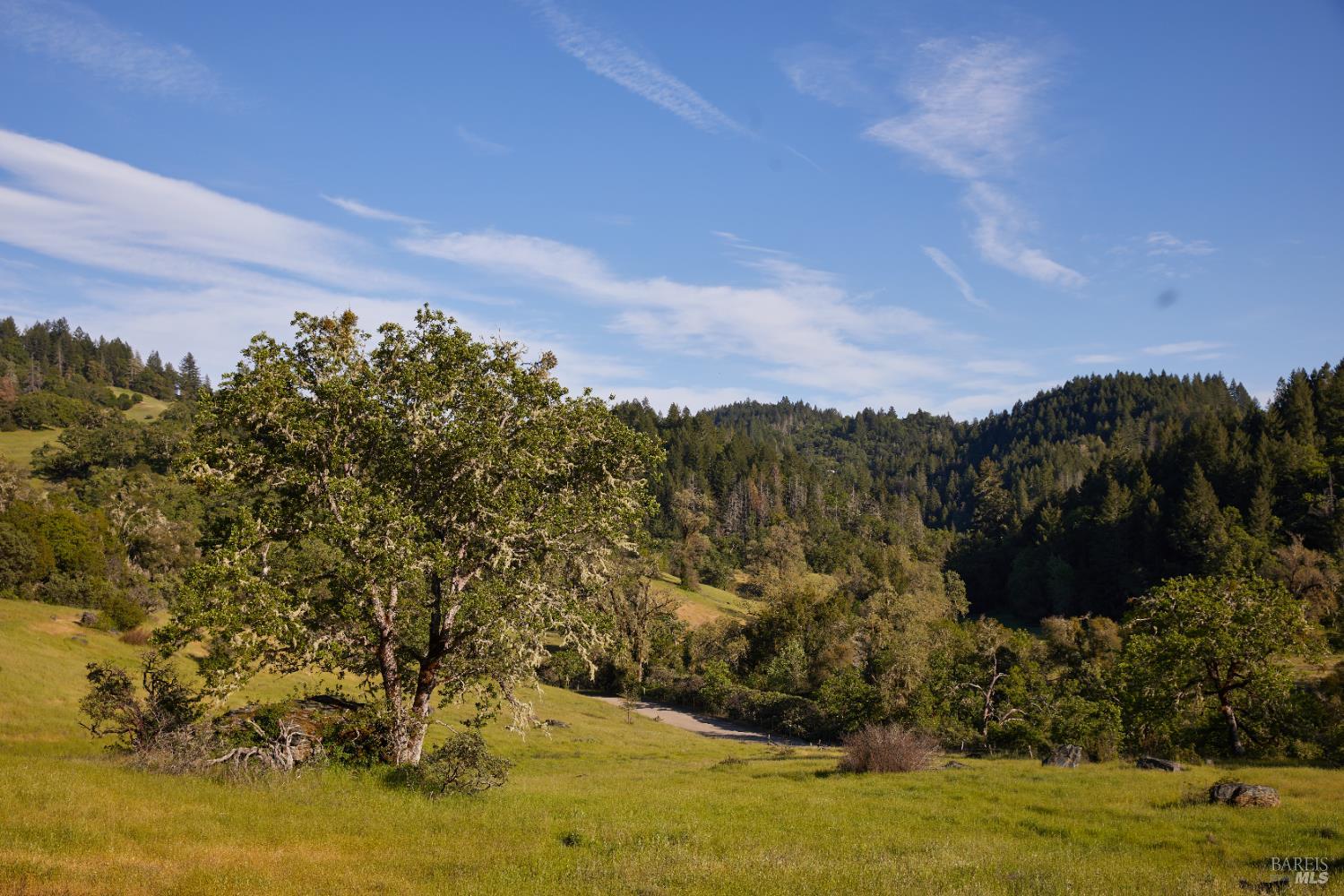 Detail Gallery Image 27 of 60 For 18574 Tomki Rd, Redwood Valley,  CA 95470 - 2 Beds | 2 Baths