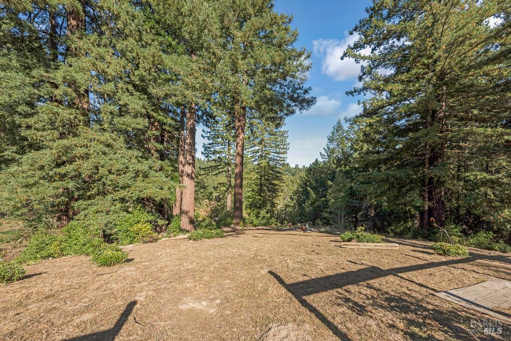 Detail Gallery Image 52 of 74 For 17197 Fitzpatrick Ln, Occidental,  CA 95465 - 3 Beds | 1 Baths