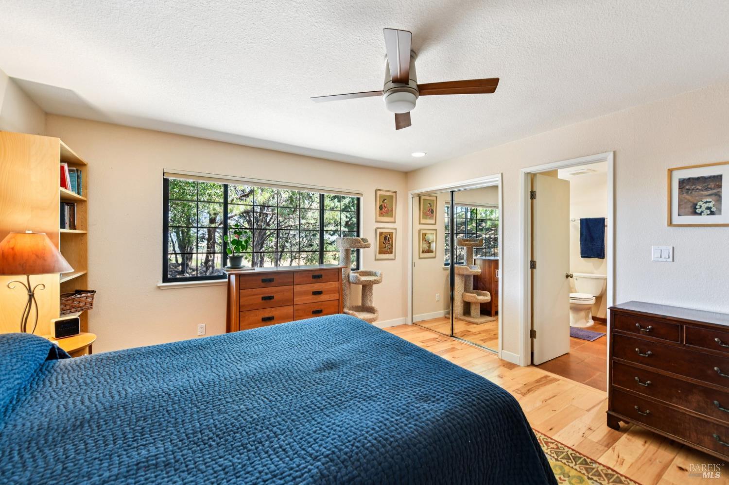 Detail Gallery Image 32 of 66 For 8621 Olive School Ln, Winters,  CA 95694 - 3 Beds | 2 Baths