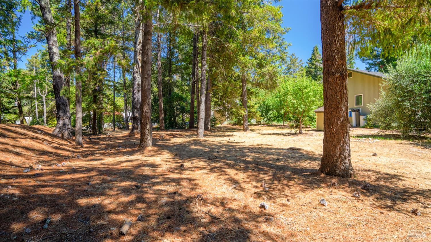 Detail Gallery Image 38 of 63 For 3155 Frei Rd, Sebastopol,  CA 95472 - 3 Beds | 2/1 Baths