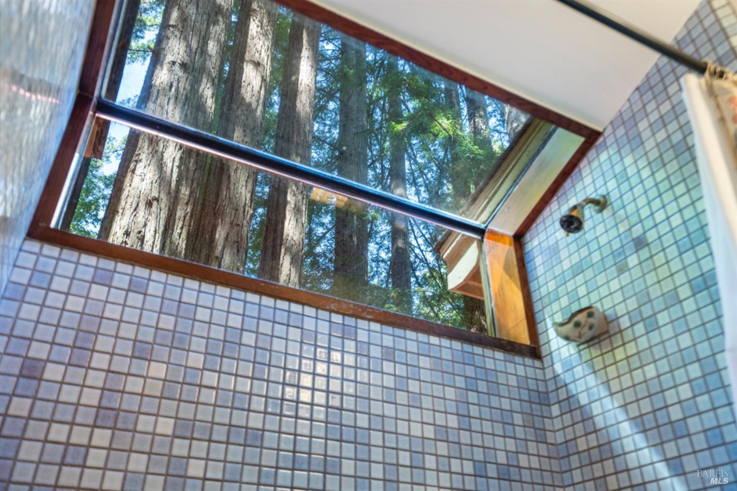 Detail Gallery Image 17 of 39 For 7600 Bohemian Hwy, Occidental,  CA 95465 - 2 Beds | 1 Baths