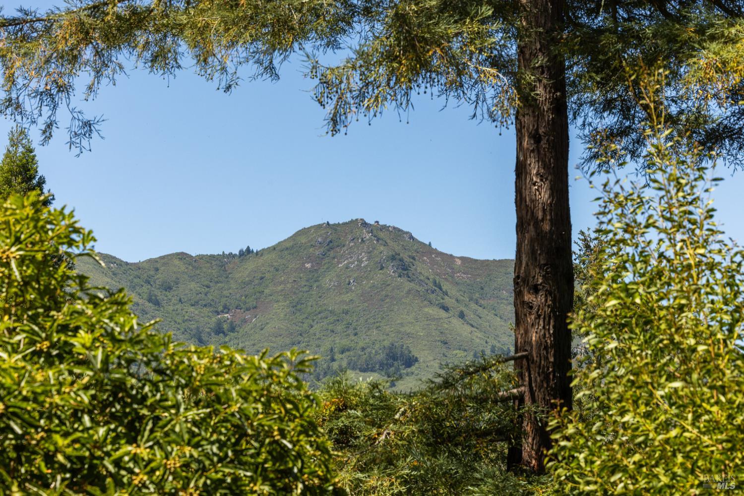 Detail Gallery Image 51 of 56 For 306 Edgewood Ave, Mill Valley,  CA 94941 - 4 Beds | 3 Baths