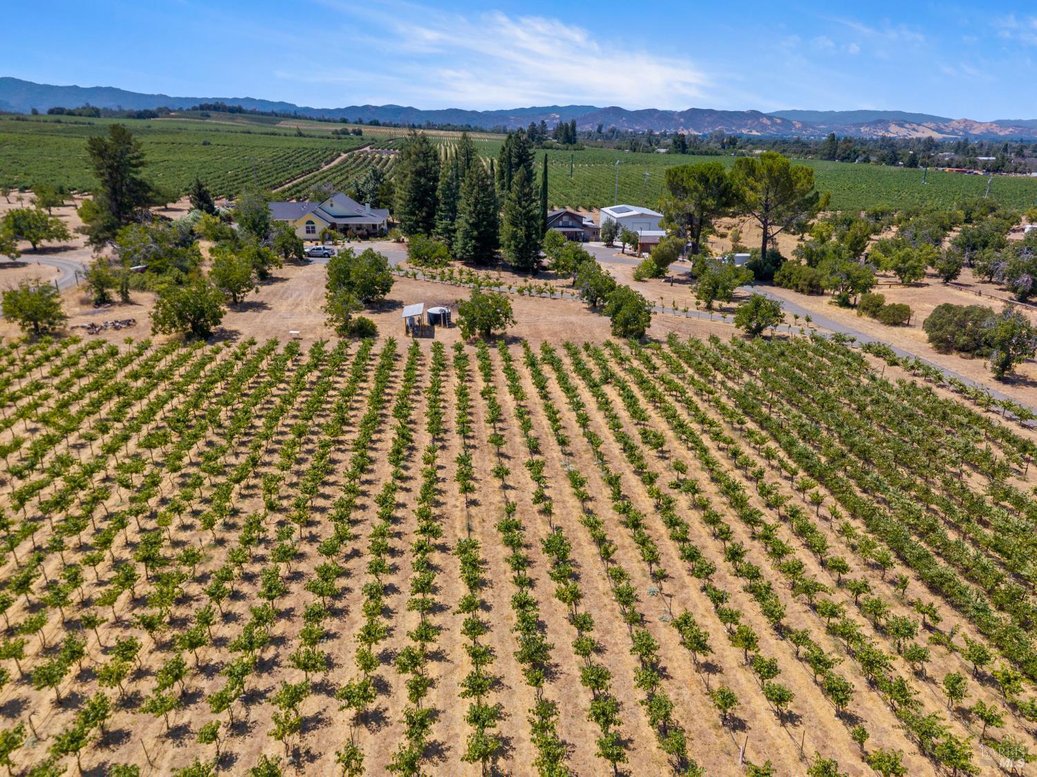 Detail Gallery Image 63 of 92 For 6675 Kelsey Creek Dr, Kelseyville,  CA 95451 - 0 Beds | 0 Baths