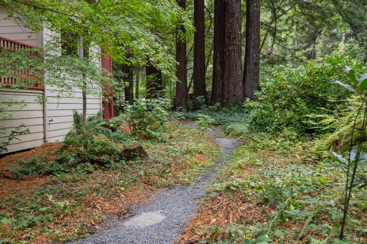 Detail Gallery Image 27 of 39 For 7600 Bohemian Hwy, Occidental,  CA 95465 - 2 Beds | 1 Baths
