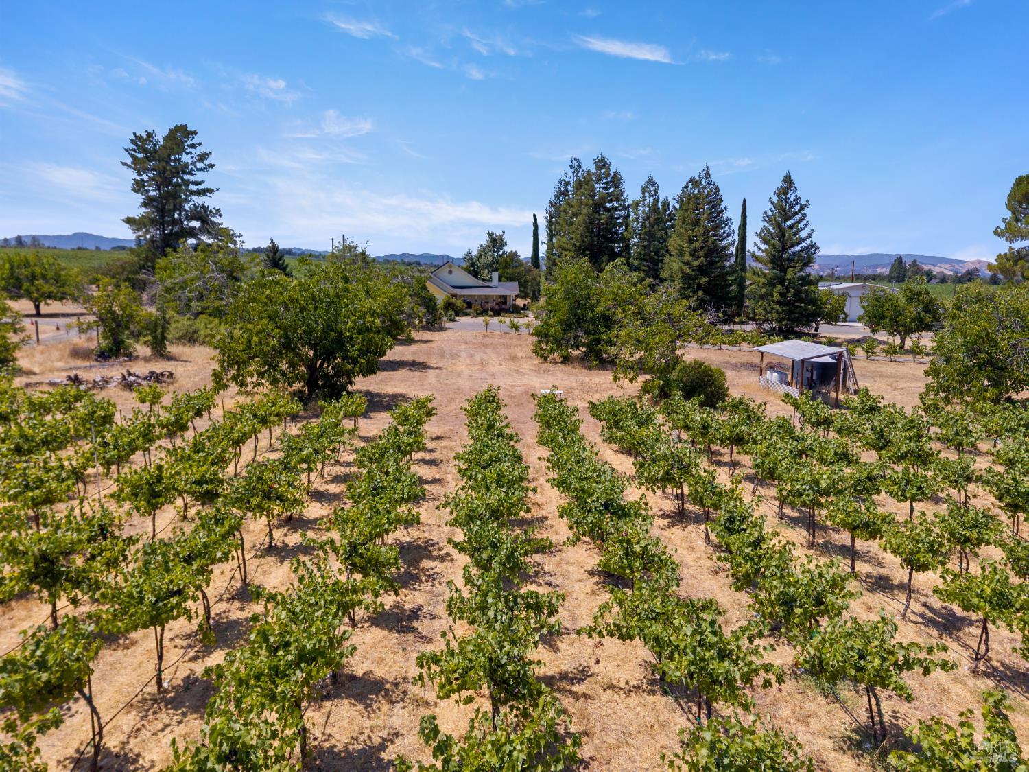 Detail Gallery Image 65 of 92 For 6675 Kelsey Creek Dr, Kelseyville,  CA 95451 - 0 Beds | 0 Baths