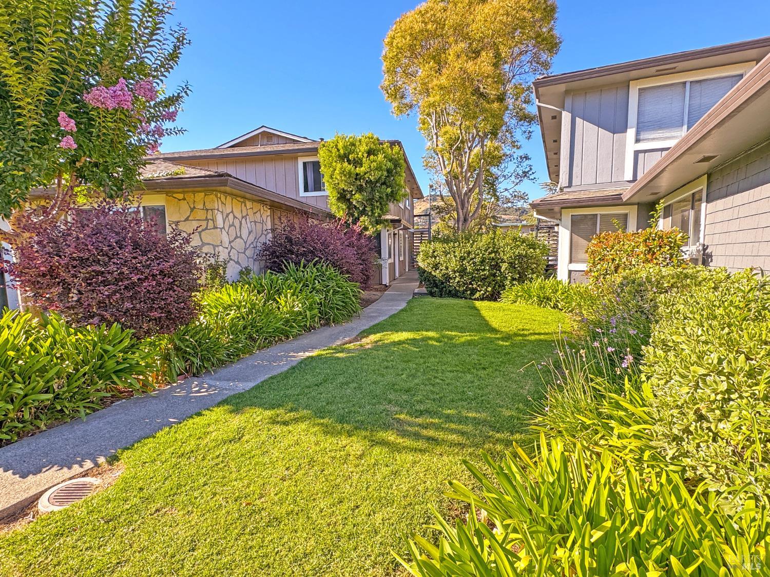 Detail Gallery Image 3 of 28 For 163 Bahia Cir, San Rafael,  CA 94901 - 2 Beds | 1 Baths