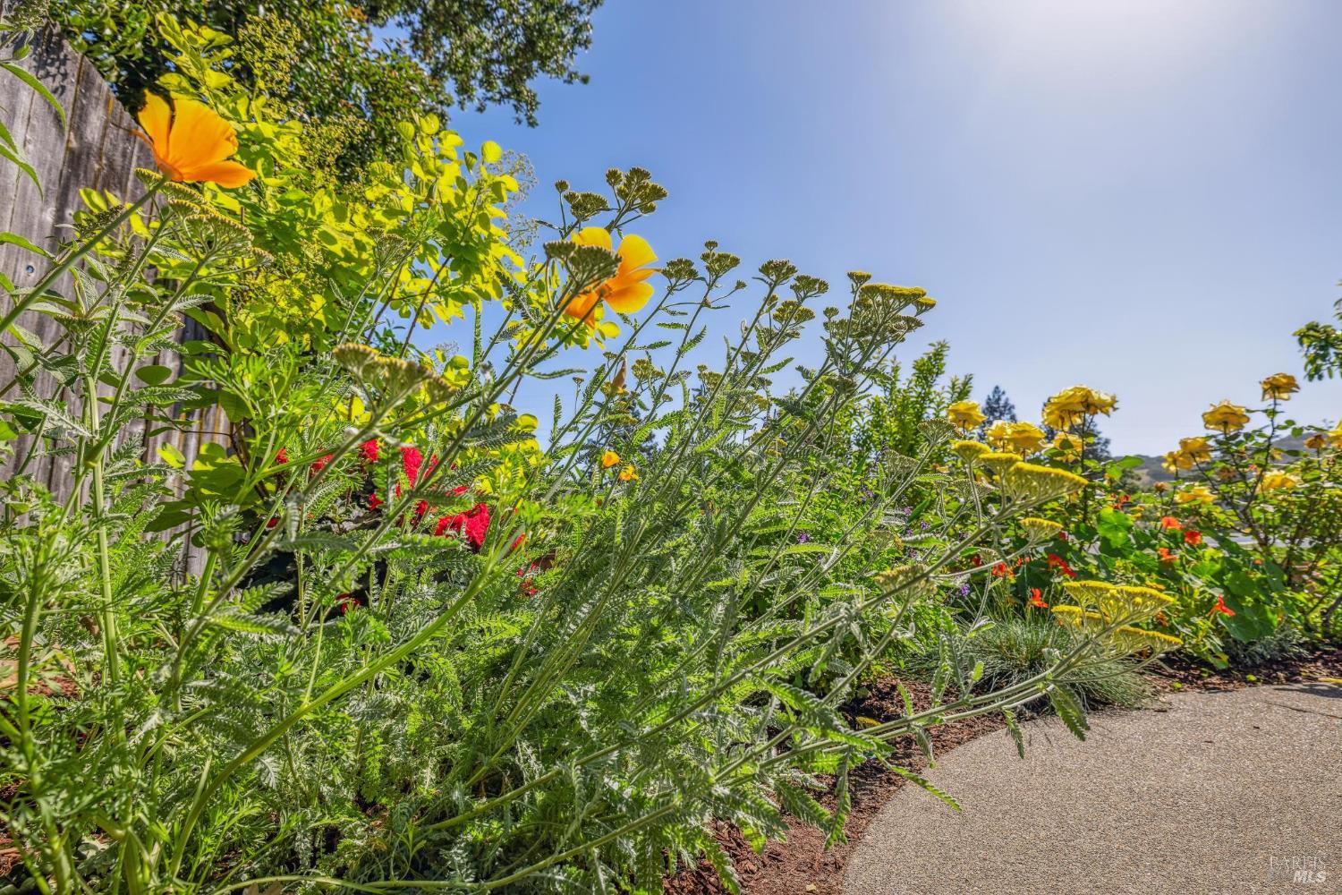 Detail Gallery Image 33 of 44 For 659 Las Colindas Rd, San Rafael,  CA 94903 - 4 Beds | 2 Baths