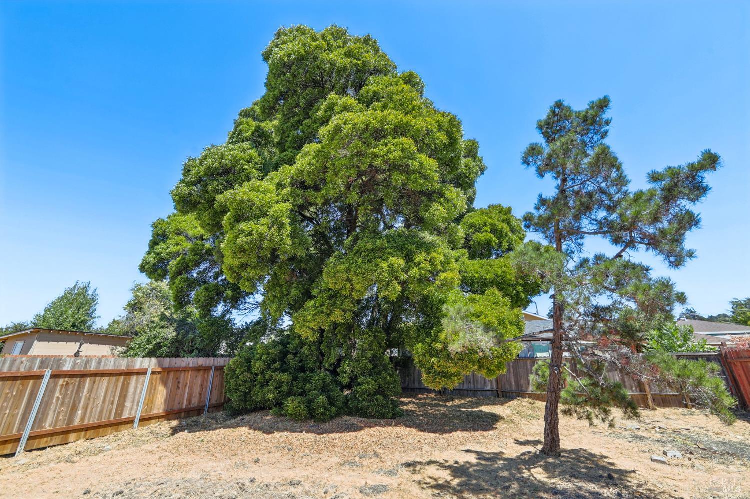 Detail Gallery Image 24 of 29 For 826 Amador St, Richmond,  CA 94805 - 2 Beds | 1 Baths