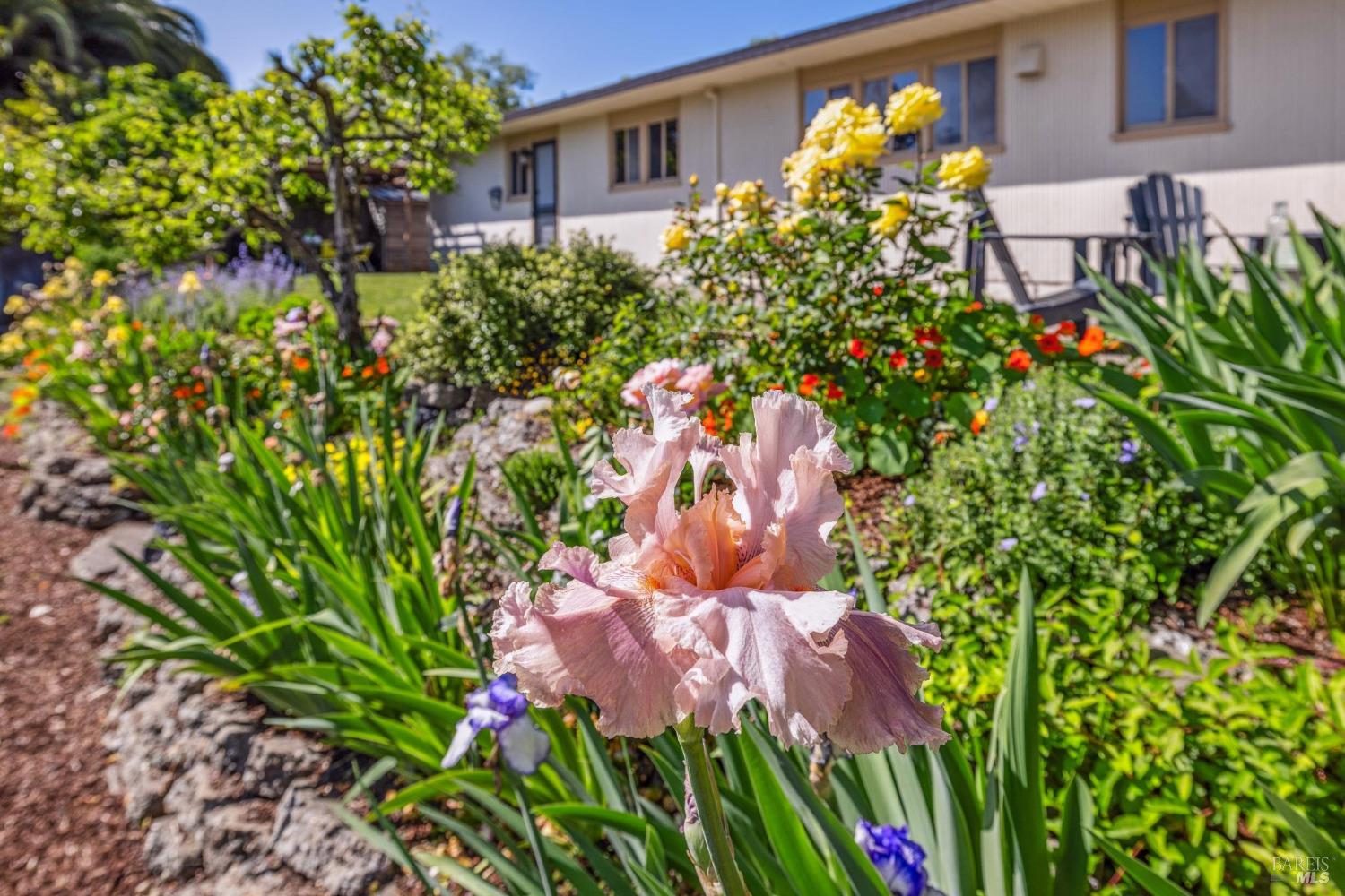 Detail Gallery Image 11 of 44 For 659 Las Colindas Rd, San Rafael,  CA 94903 - 4 Beds | 2 Baths