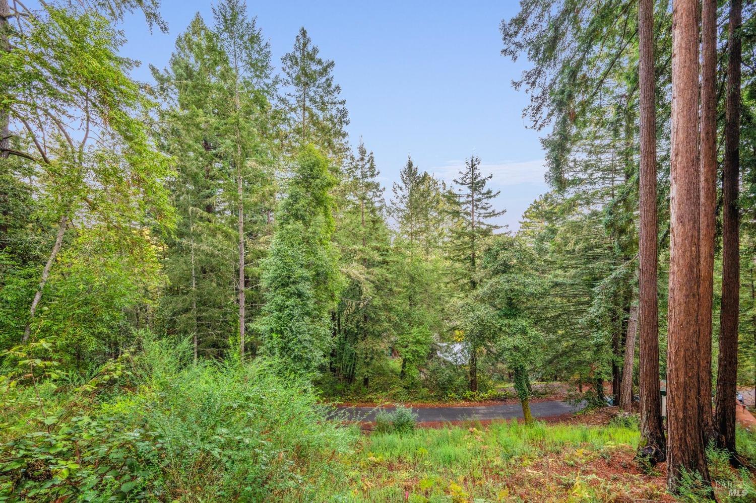 Detail Gallery Image 34 of 35 For 17506 Summit Ave, Guerneville,  CA 95446 - – Beds | – Baths