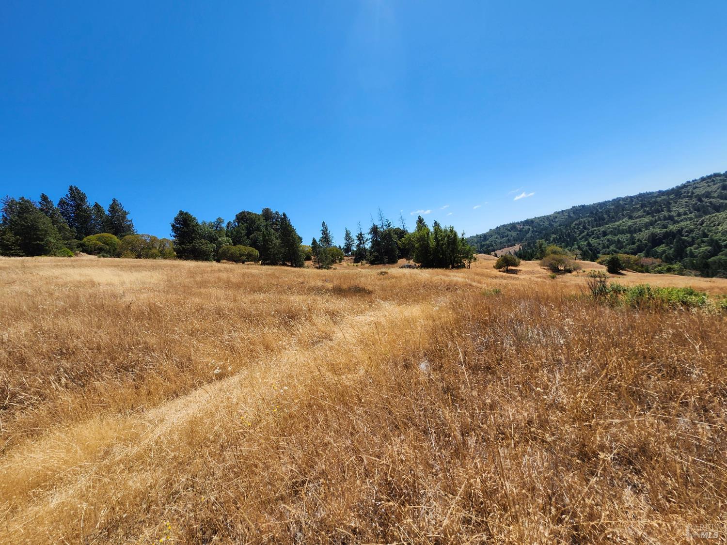 Detail Gallery Image 19 of 20 For 41092 Us-101 Hwy, Laytonville,  CA 95454 - 1 Beds | 1 Baths
