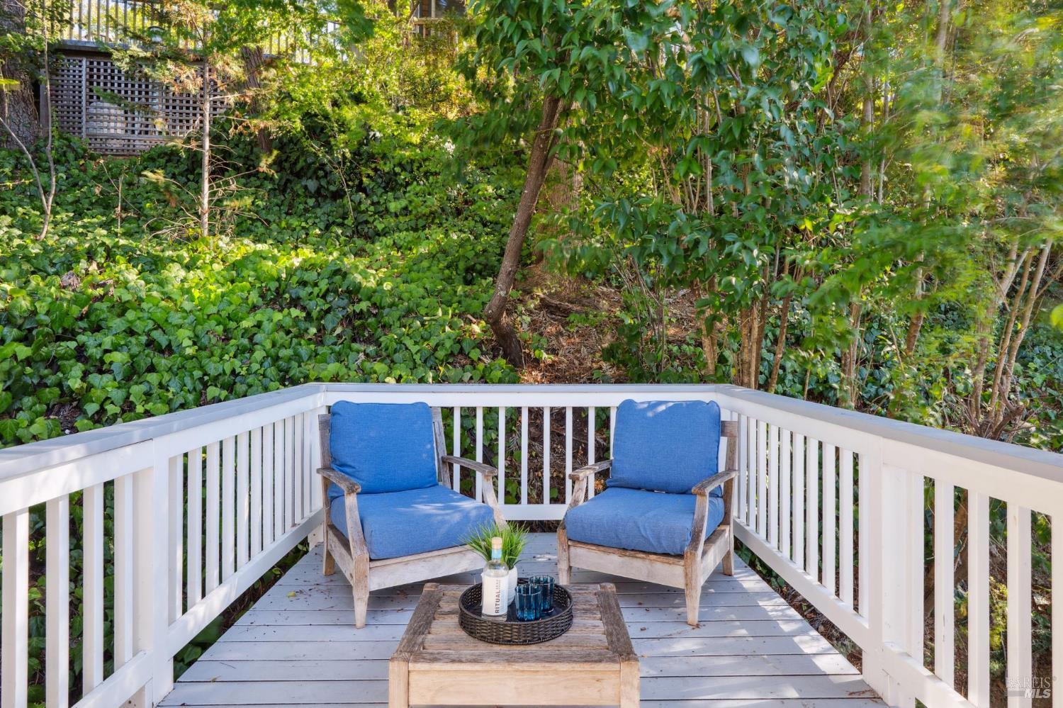 Detail Gallery Image 50 of 61 For 347 Jewell St, San Rafael,  CA 94901 - 4 Beds | 3 Baths