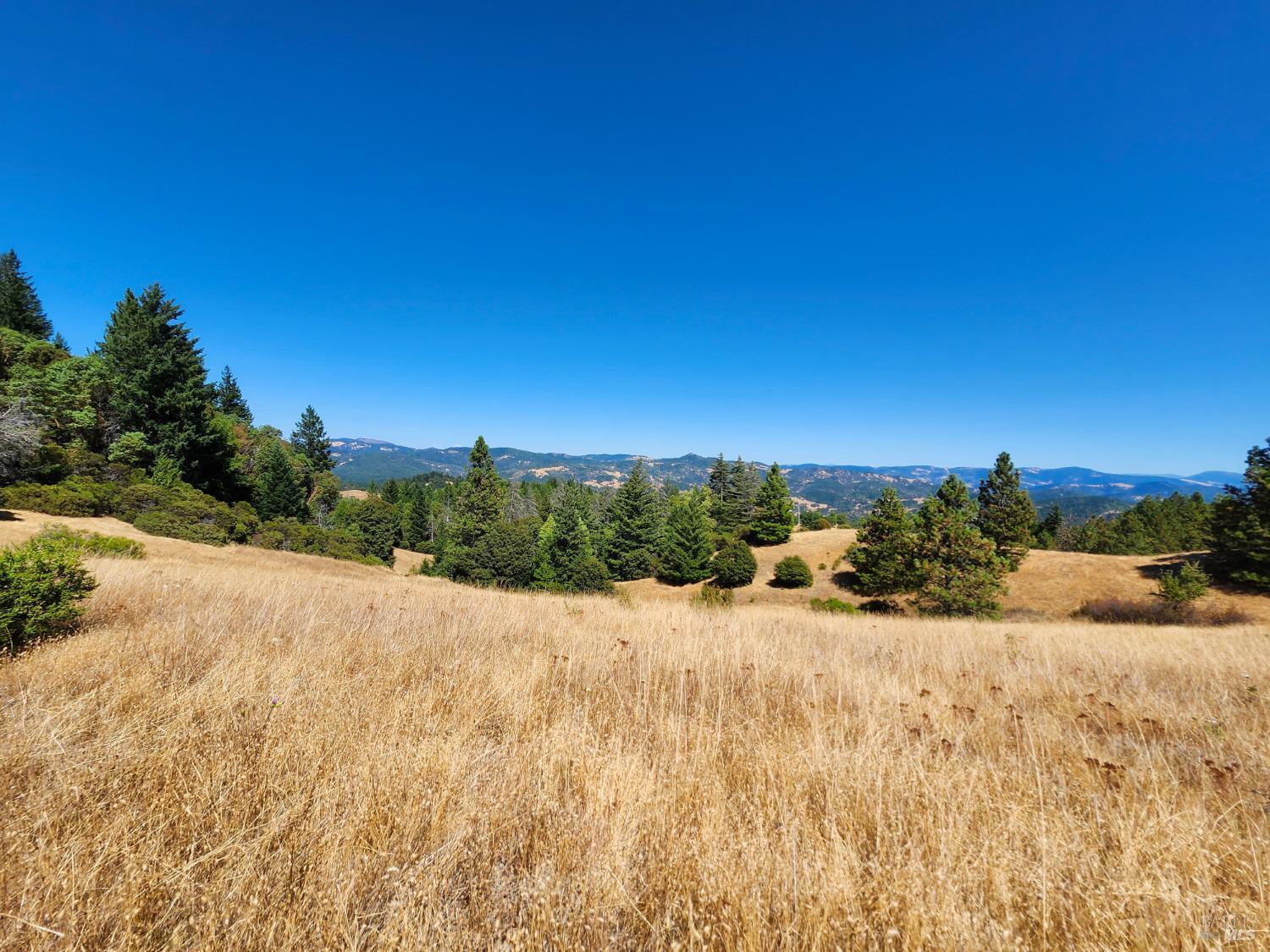 Detail Gallery Image 18 of 20 For 41092 Us-101 Hwy, Laytonville,  CA 95454 - 1 Beds | 1 Baths