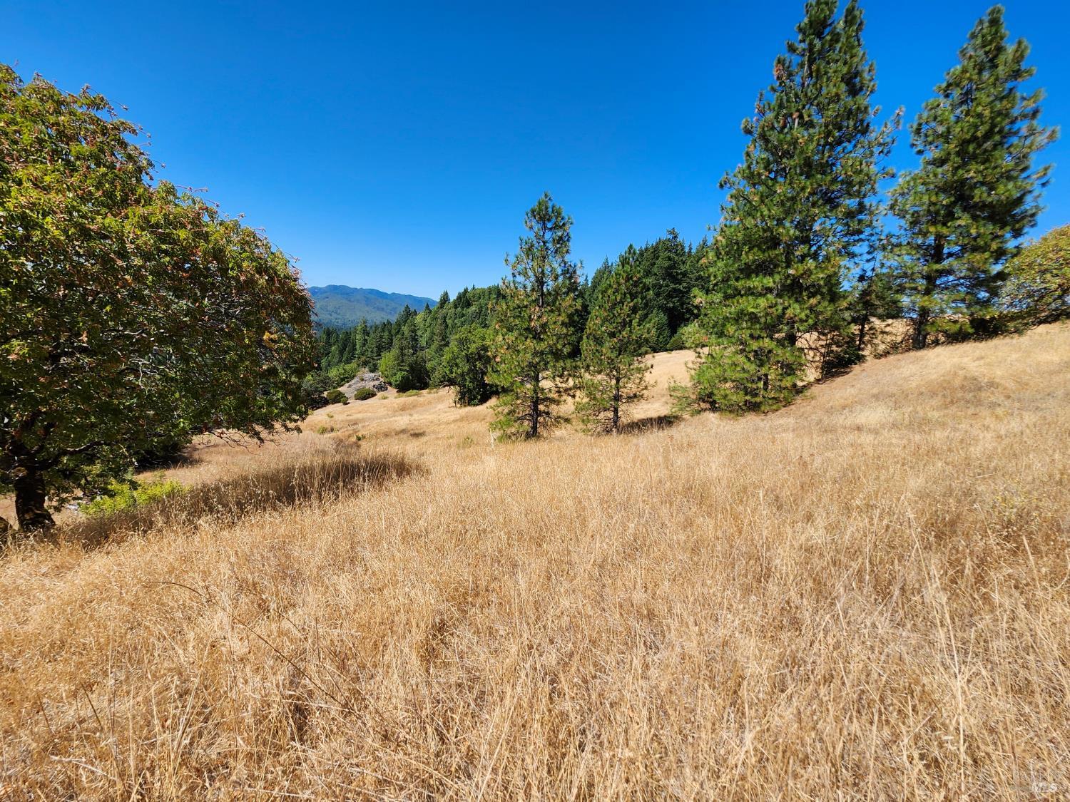Detail Gallery Image 11 of 20 For 41092 Us-101 Hwy, Laytonville,  CA 95454 - 1 Beds | 1 Baths