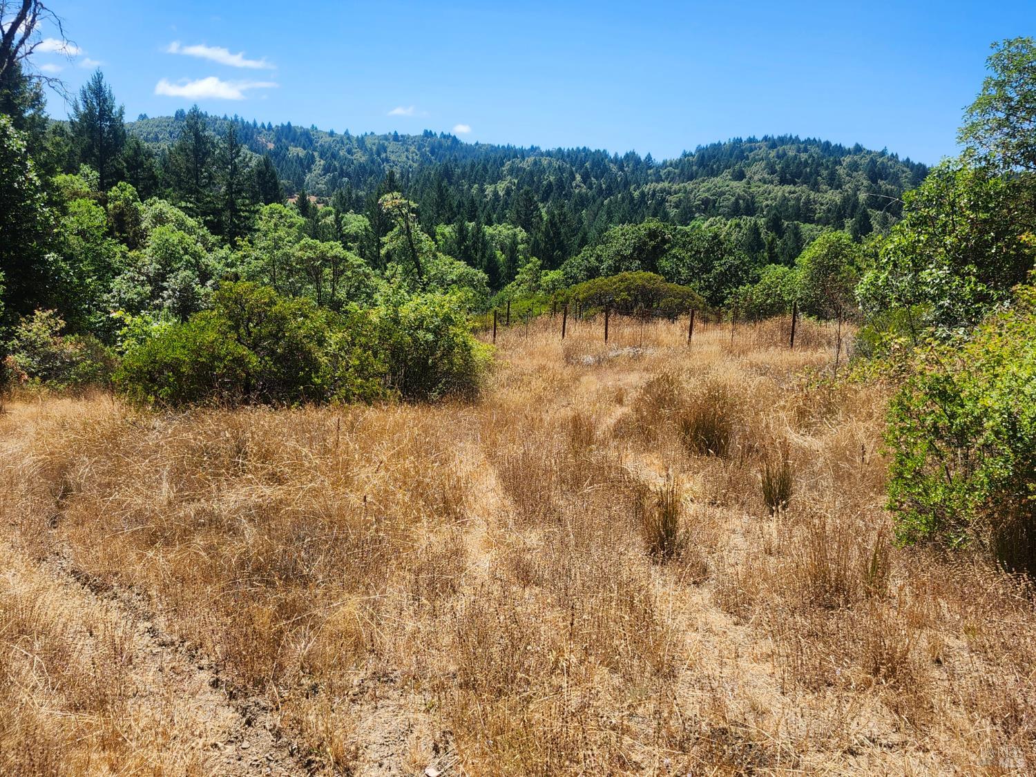 Detail Gallery Image 10 of 20 For 41092 Us-101 Hwy, Laytonville,  CA 95454 - 1 Beds | 1 Baths