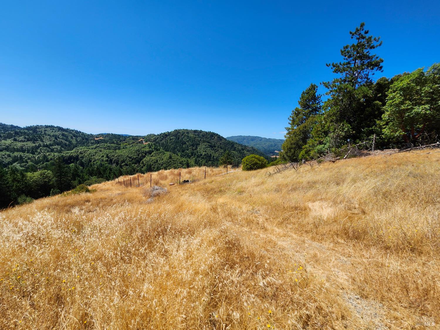 Detail Gallery Image 17 of 20 For 41092 Us-101 Hwy, Laytonville,  CA 95454 - 1 Beds | 1 Baths