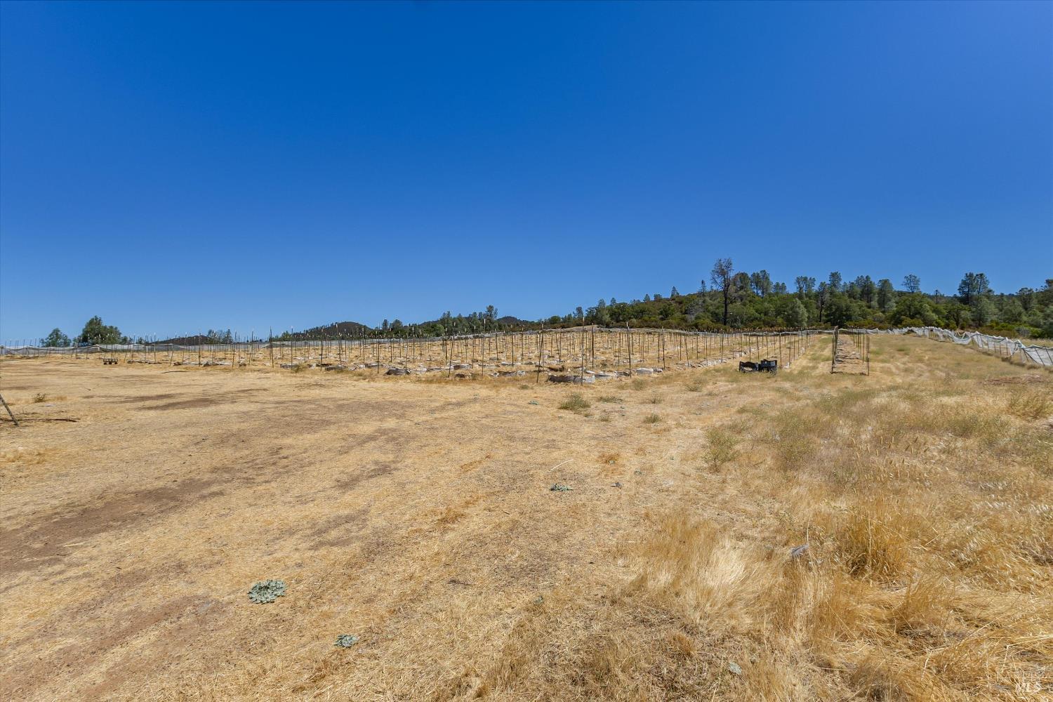 Detail Gallery Image 23 of 41 For 9820 Kelsey Creek Dr, Kelseyville,  CA 95451 - 4 Beds | 3 Baths