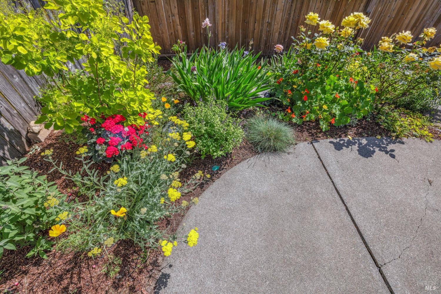 Detail Gallery Image 36 of 44 For 659 Las Colindas Rd, San Rafael,  CA 94903 - 4 Beds | 2 Baths
