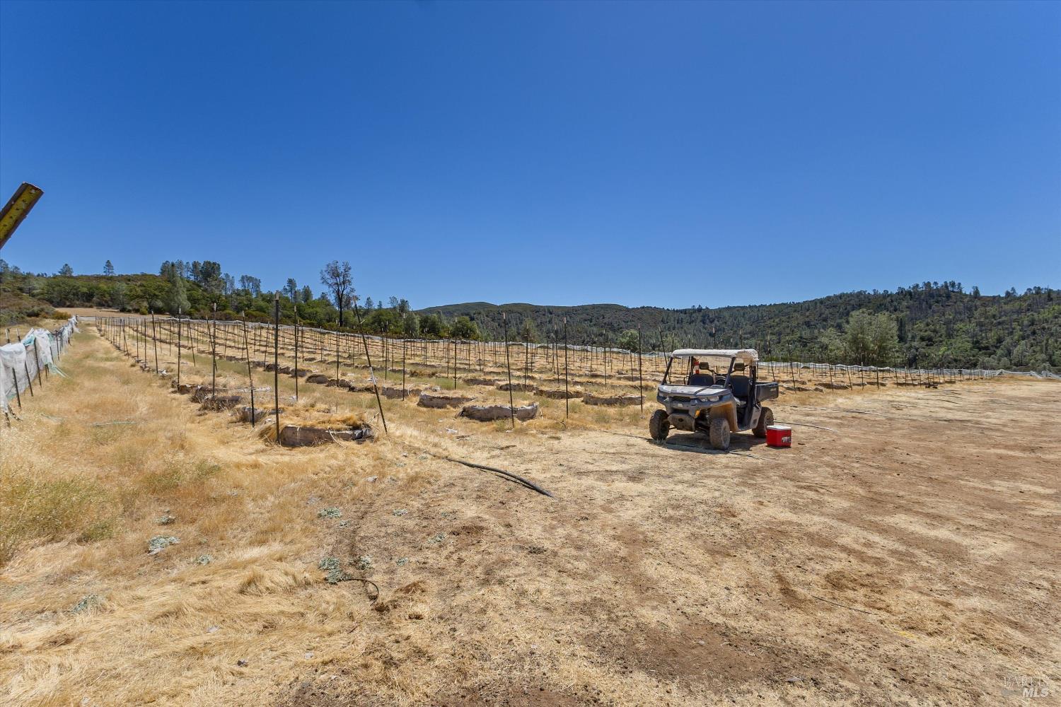 Detail Gallery Image 22 of 41 For 9820 Kelsey Creek Dr, Kelseyville,  CA 95451 - 4 Beds | 3 Baths
