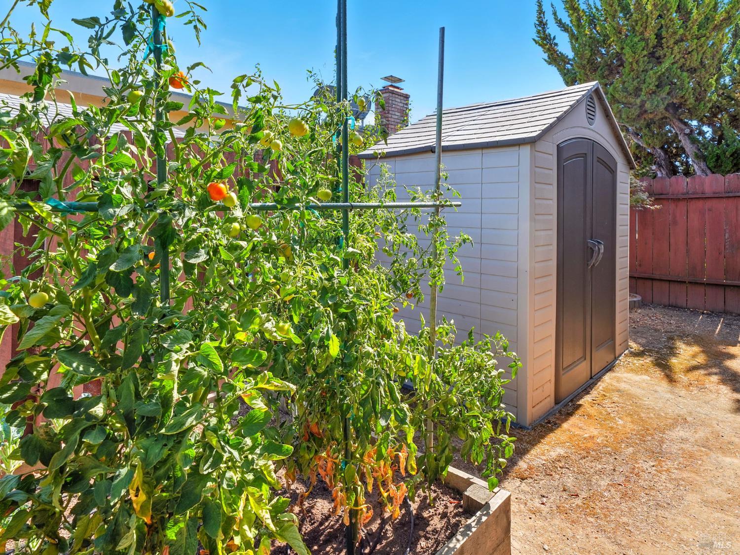Detail Gallery Image 29 of 40 For 1388 Donna St, Novato,  CA 94947 - 3 Beds | 2 Baths