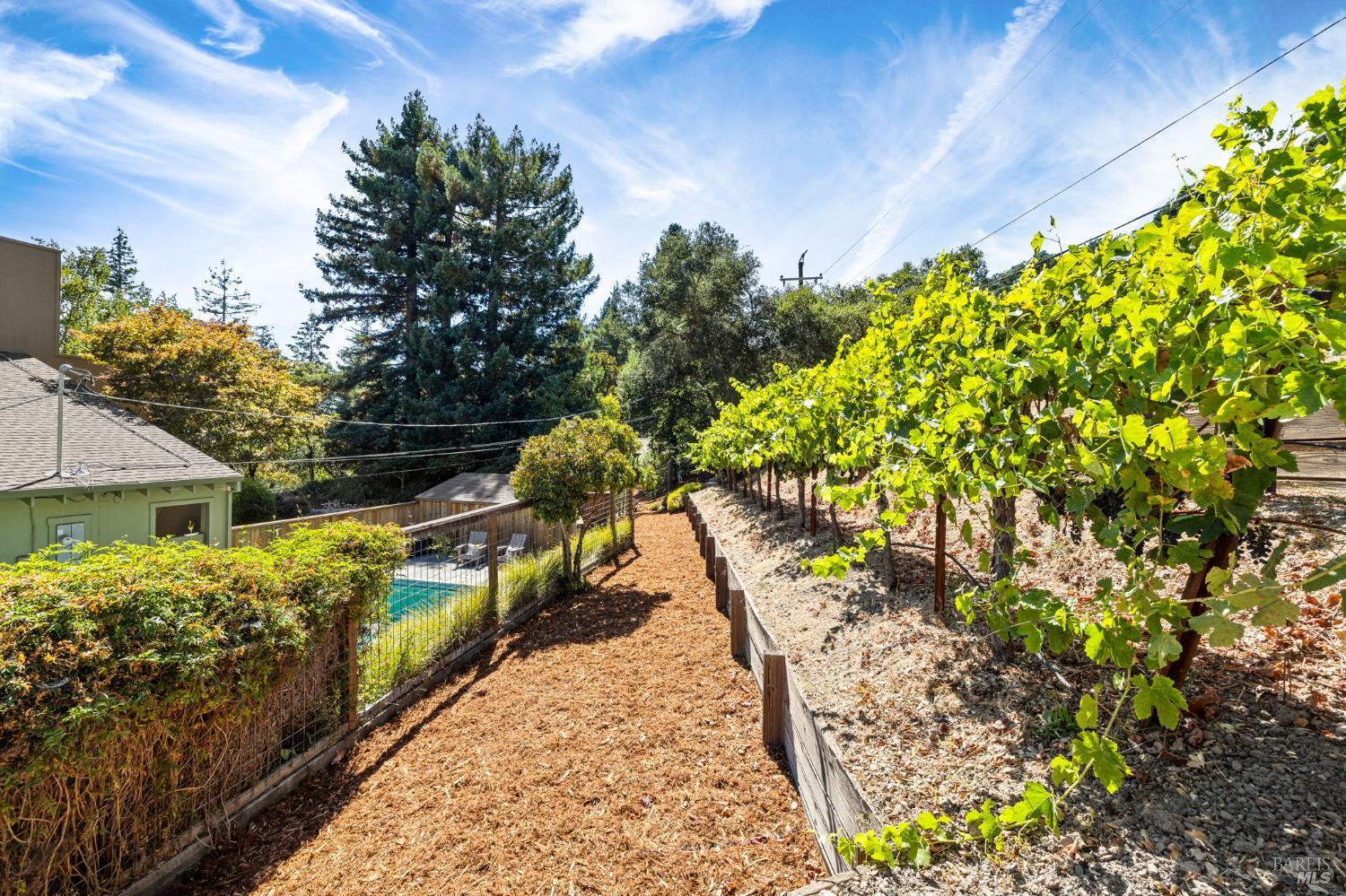 Detail Gallery Image 49 of 70 For 4795 Ponderosa Dr, Santa Rosa,  CA 95404 - 4 Beds | 3/1 Baths