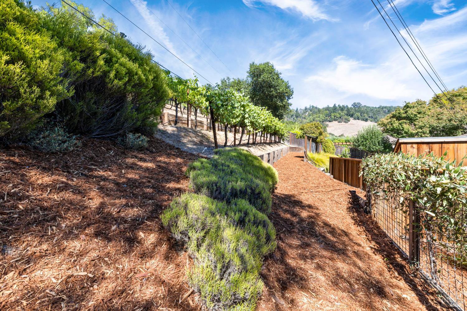 Detail Gallery Image 53 of 70 For 4795 Ponderosa Dr, Santa Rosa,  CA 95404 - 4 Beds | 3/1 Baths