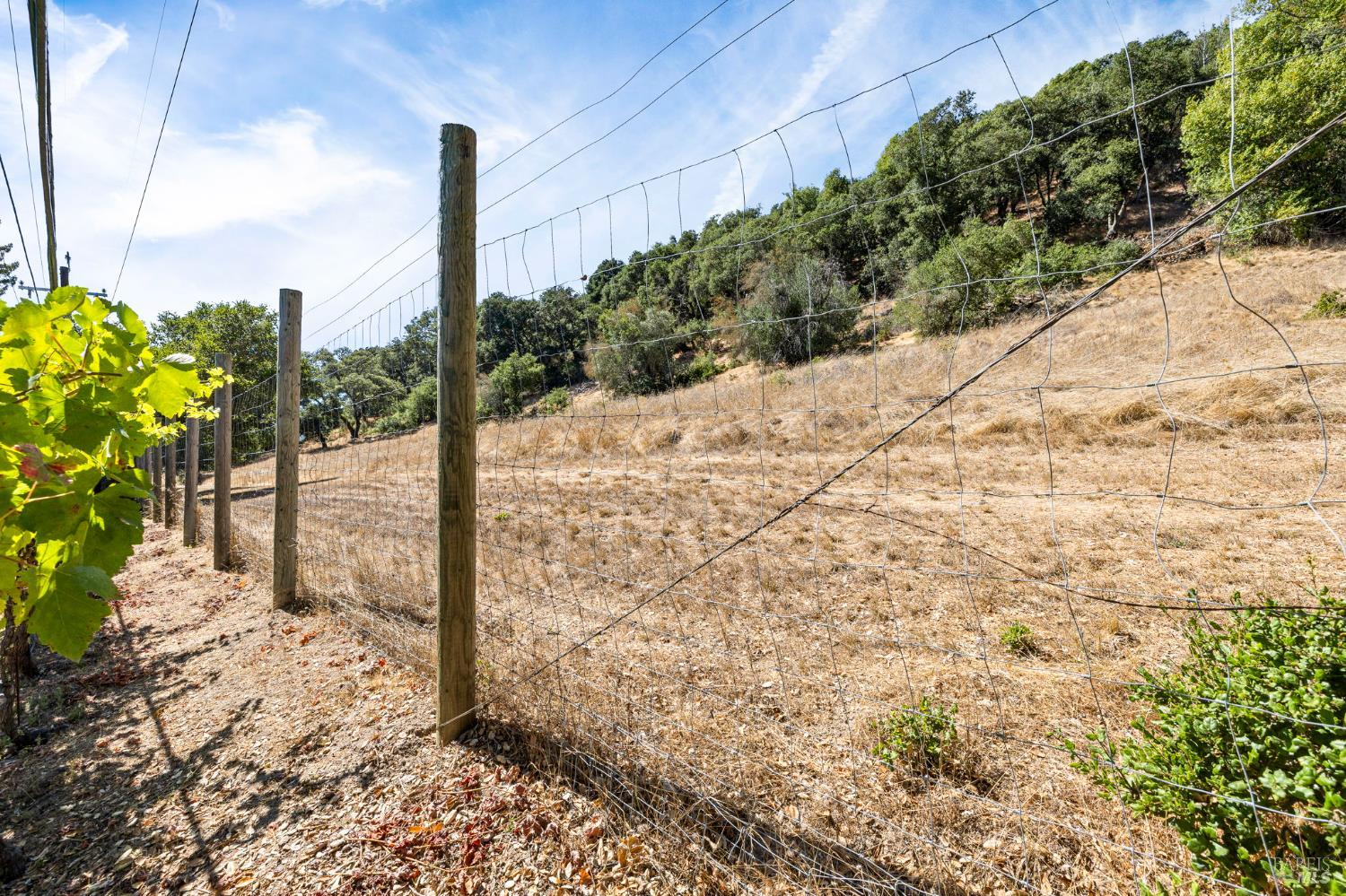Detail Gallery Image 51 of 70 For 4795 Ponderosa Dr, Santa Rosa,  CA 95404 - 4 Beds | 3/1 Baths