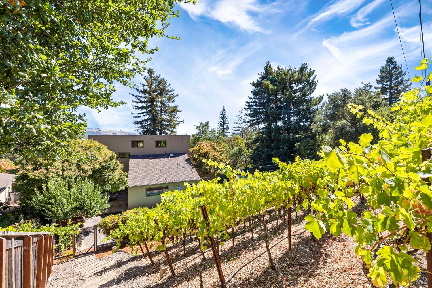 Detail Gallery Image 50 of 70 For 4795 Ponderosa Dr, Santa Rosa,  CA 95404 - 4 Beds | 3/1 Baths