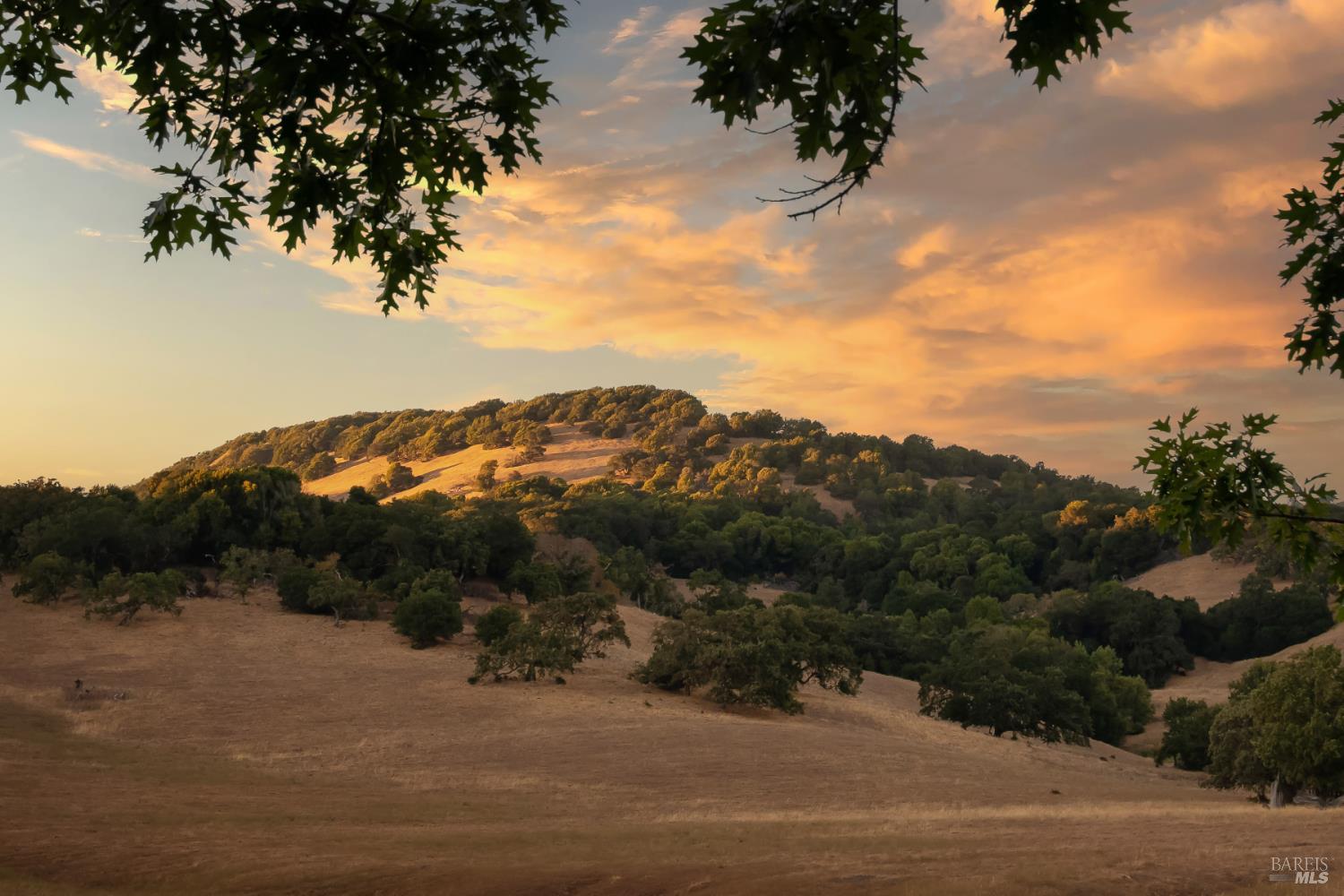 Detail Gallery Image 26 of 29 For 26 Sotelo Way, Novato,  CA 94945 - 4 Beds | 2/1 Baths