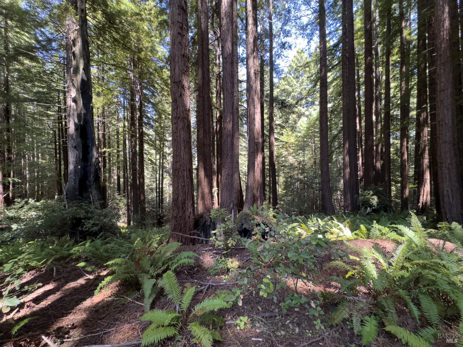Detail Gallery Image 38 of 54 For 10136 Sorcerer Wood Unkn, The Sea Ranch,  CA 95497 - 2 Beds | 2 Baths