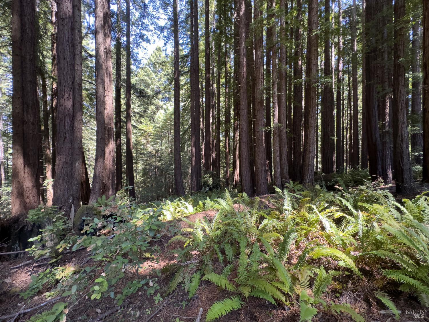 Detail Gallery Image 39 of 54 For 10136 Sorcerer Wood Unkn, The Sea Ranch,  CA 95497 - 2 Beds | 2 Baths