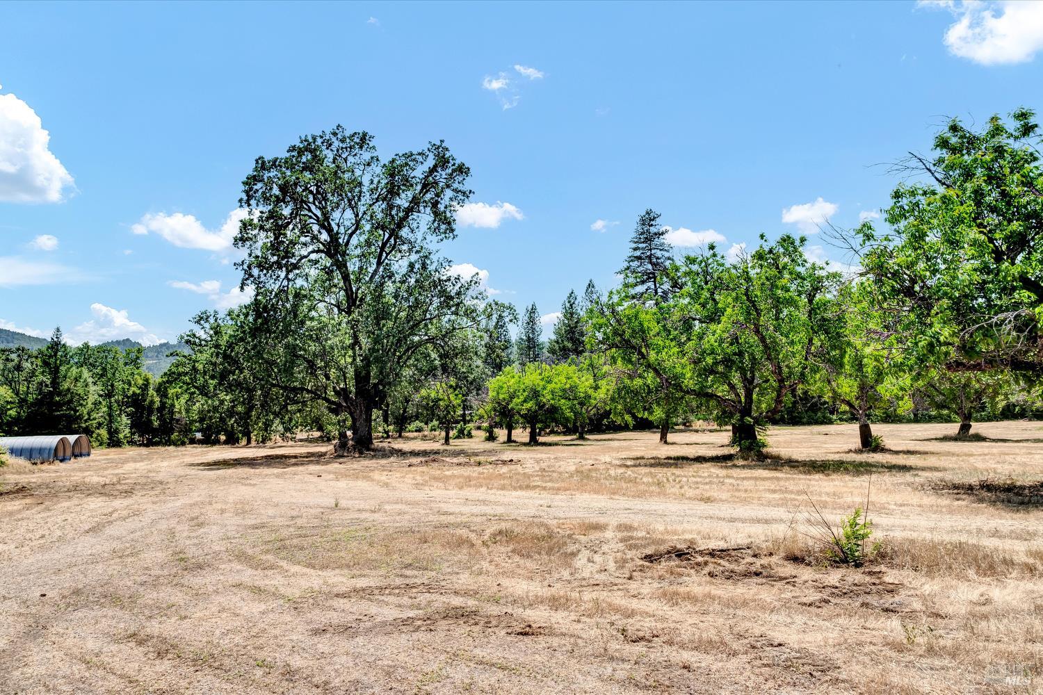Detail Gallery Image 39 of 50 For 22550 Shady Grove Rd, Middletown,  CA 95461 - 3 Beds | 1 Baths