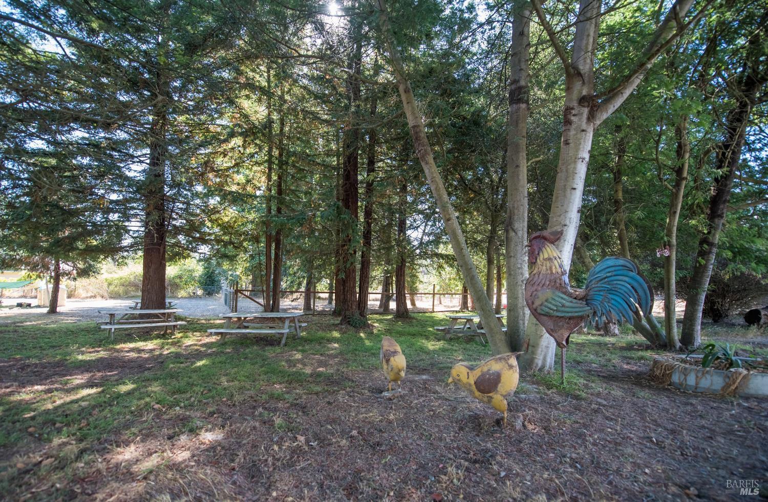 Detail Gallery Image 79 of 88 For 5301 Hutchinson Rd, Sebastopol,  CA 95472 - 3 Beds | 3 Baths
