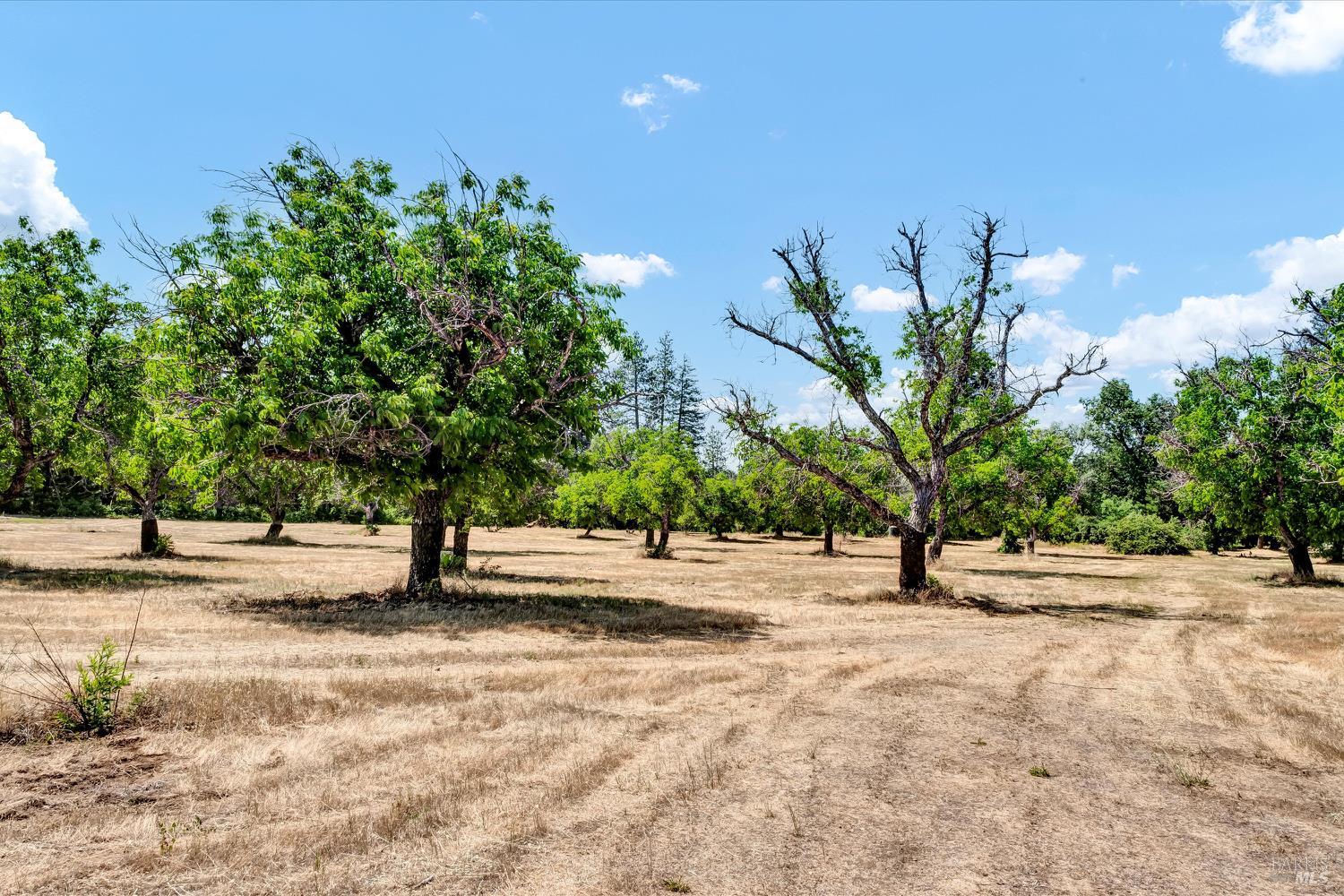 Detail Gallery Image 40 of 50 For 22550 Shady Grove Rd, Middletown,  CA 95461 - 3 Beds | 1 Baths