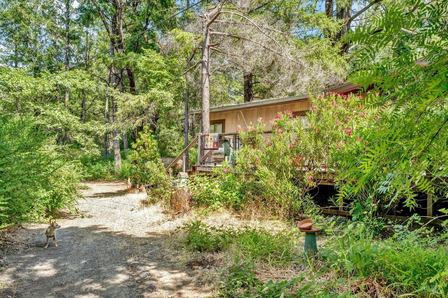 Detail Gallery Image 29 of 50 For 22550 Shady Grove Rd, Middletown,  CA 95461 - 3 Beds | 1 Baths