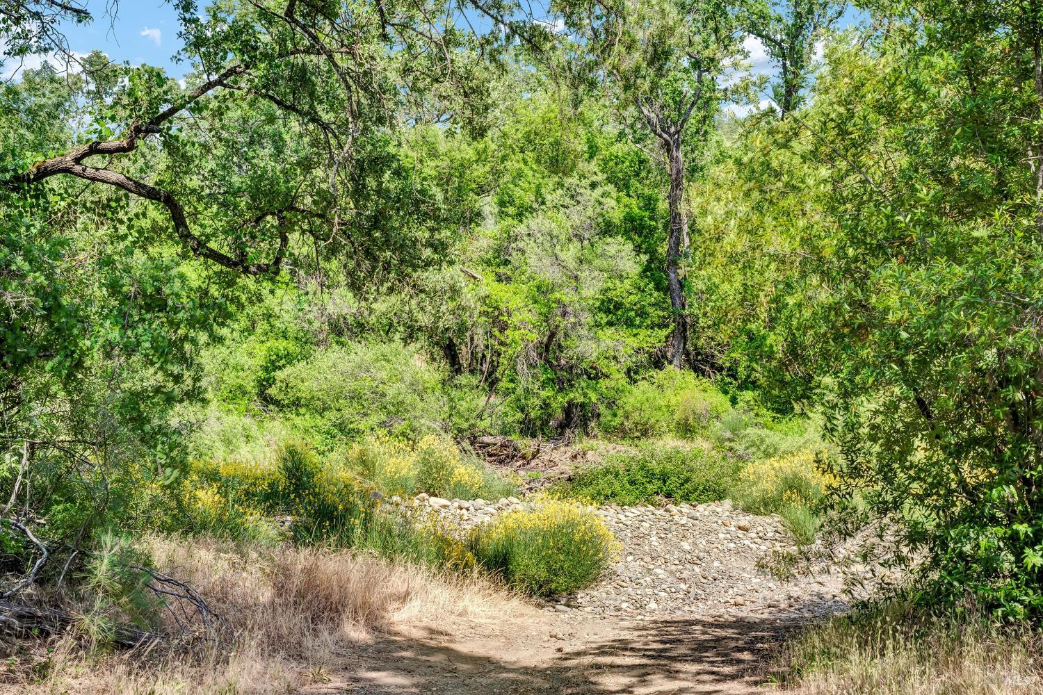 Detail Gallery Image 46 of 50 For 22550 Shady Grove Rd, Middletown,  CA 95461 - 3 Beds | 1 Baths